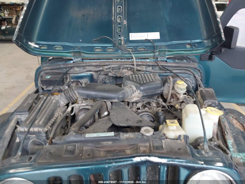 1998 Jeep Wrangler Se VIN: 1J4FY29PXWP700360 Lot: 43679307