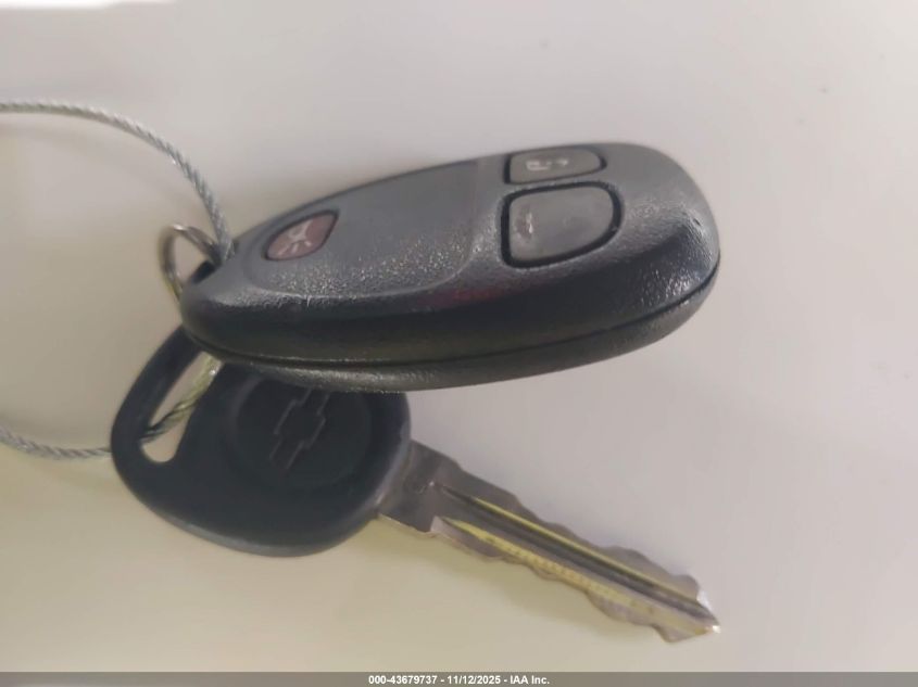 2009 Chevrolet Traverse Ls VIN: 1GNER13D09S133950 Lot: 43679737