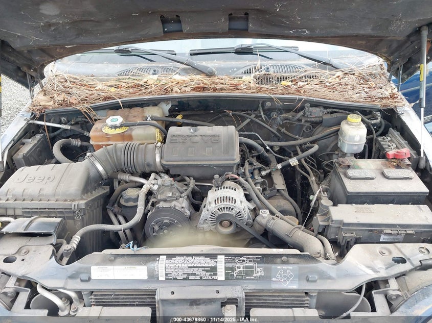 1J4GL58K72W357369 2002 JEEP LIBERTY (NORTH AMERICA) photo no. 10