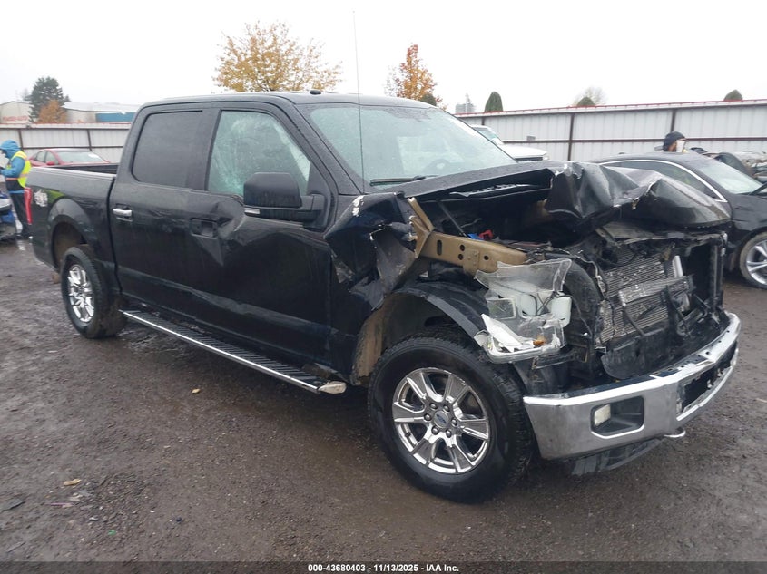 2016 FORD F-150 XLT - 1FTEW1EF2GFA18899