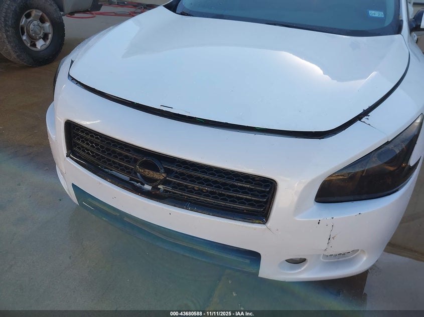 2009 Nissan Maxima 3.5 Sv VIN: 1N4AA51E39C817117 Lot: 43680588