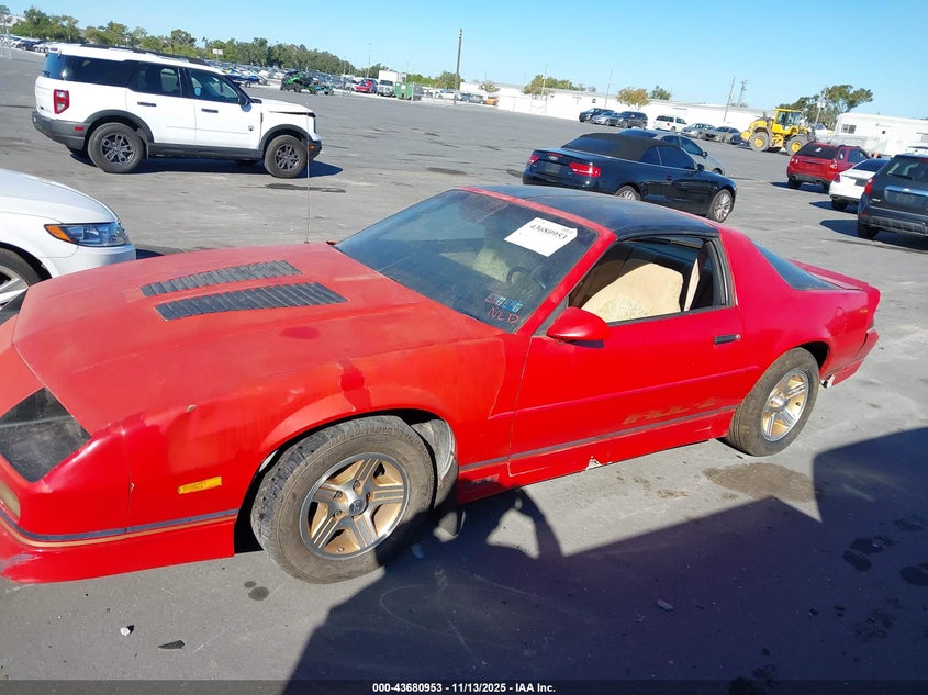 1989 Chevrolet Camaro VIN: 1G1FP21F9KL132317 Lot: 43680953