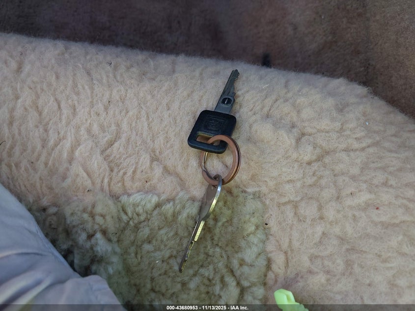 1989 Chevrolet Camaro VIN: 1G1FP21F9KL132317 Lot: 43680953