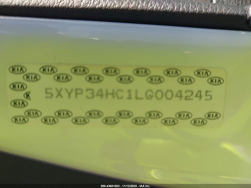 2020 KIA TELLURIDE EX 5XYP34HC1LG004245