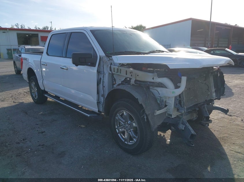 2023 FORD F-150 XLT - 1FTFW1E56PKE81325