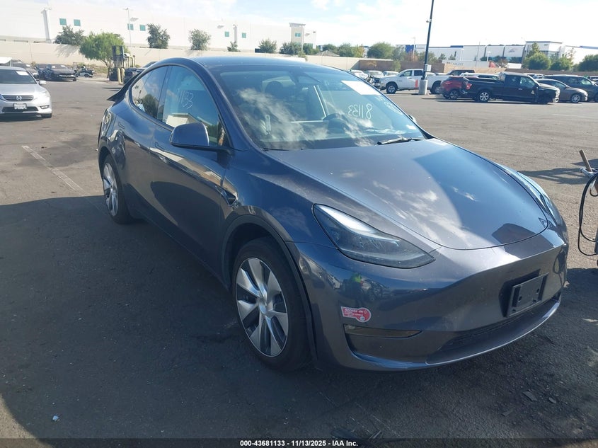 TESLA MODEL Y RWD