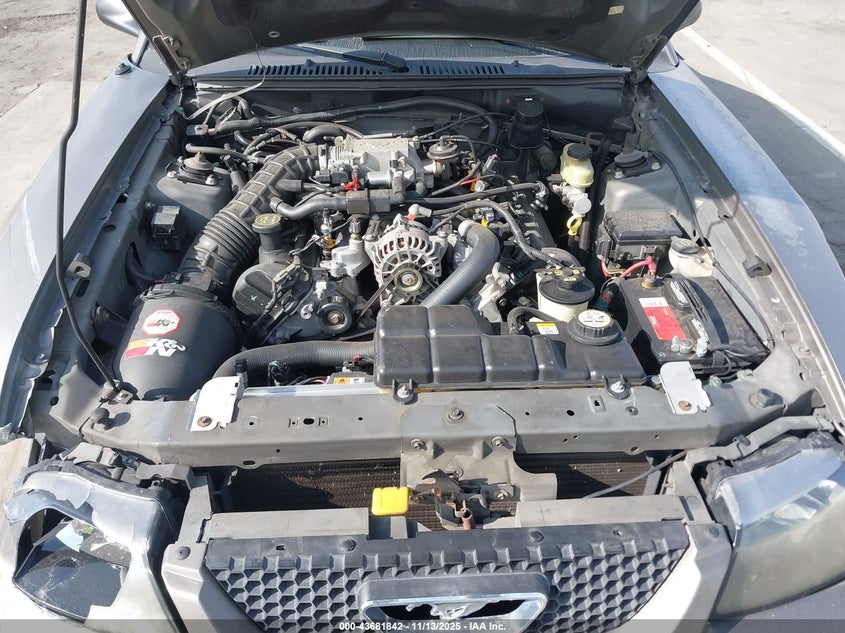 2002 Ford Mustang Gt VIN: 1FAFP42X32F206894 Lot: 43681842