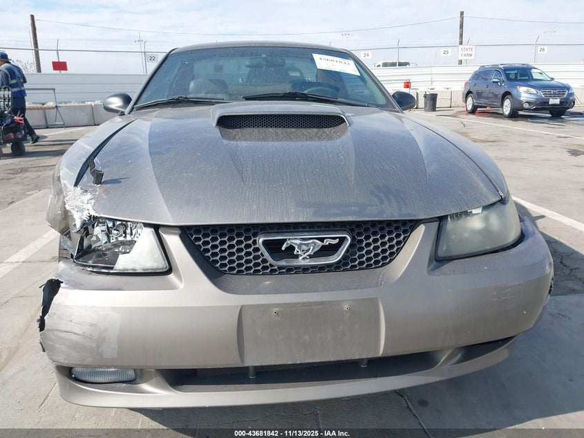 2002 Ford Mustang Gt VIN: 1FAFP42X32F206894 Lot: 43681842