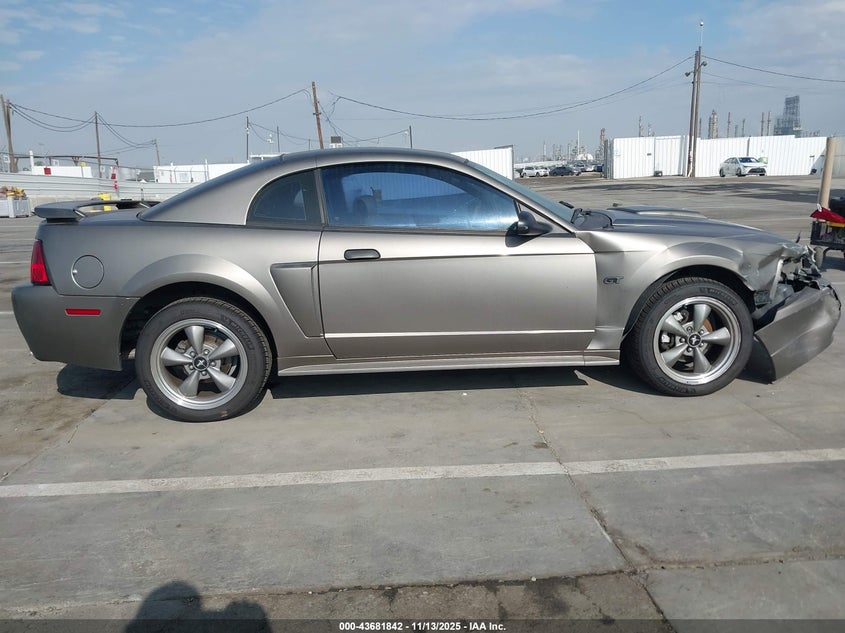 2002 Ford Mustang Gt VIN: 1FAFP42X32F206894 Lot: 43681842