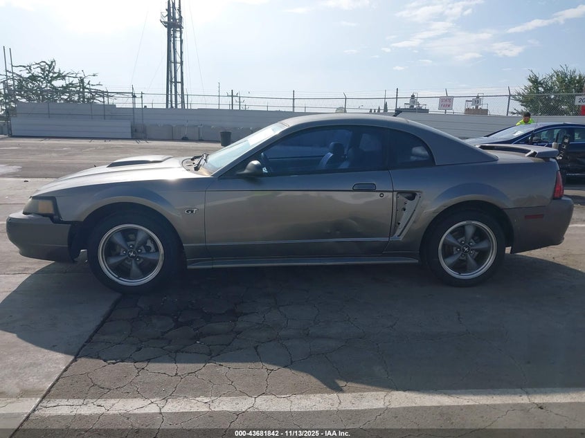 2002 Ford Mustang Gt VIN: 1FAFP42X32F206894 Lot: 43681842