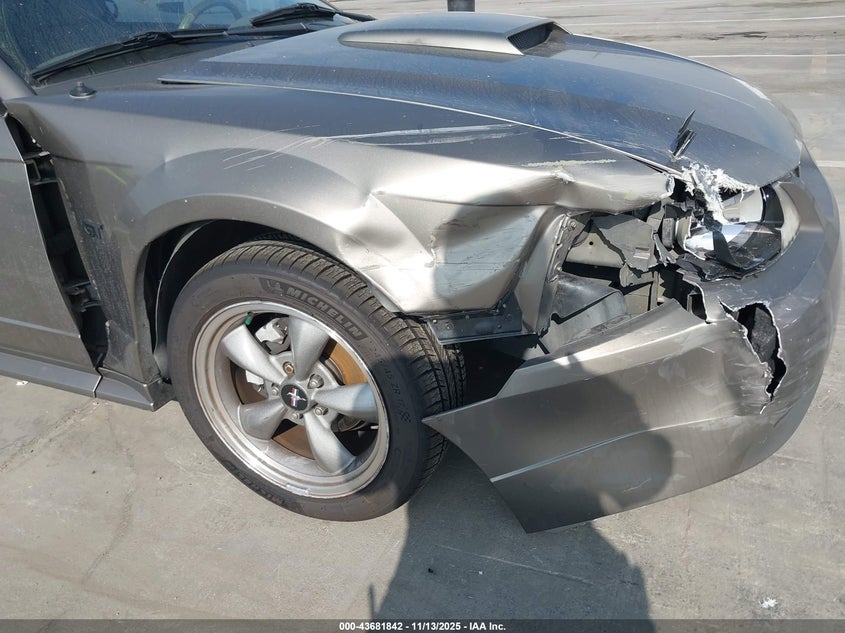 2002 Ford Mustang Gt VIN: 1FAFP42X32F206894 Lot: 43681842