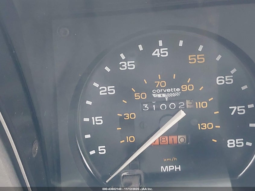 1981 Chevrolet Corvette VIN: 1G1AY876XBS408530 Lot: 43682148