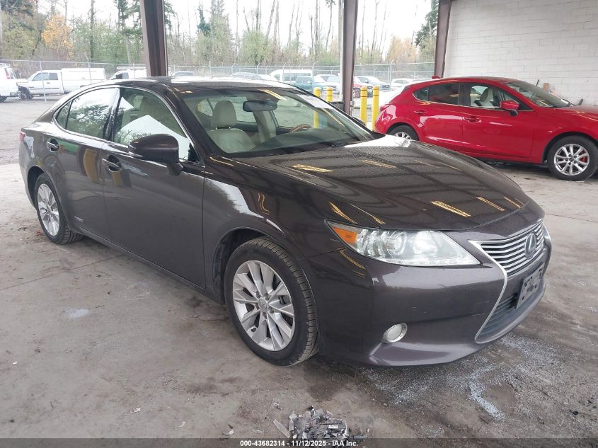 LEXUS ES 300H ES 300H