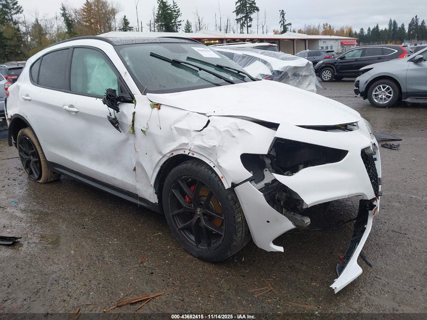 ZASPAJAN7K7C42328 2019 Alfa Romeo Stelvio Rwd auction photo 1