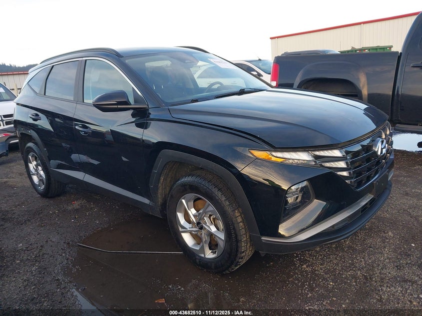 2023 HYUNDAI TUCSON SEL - 5NMJBCAE6PH258429