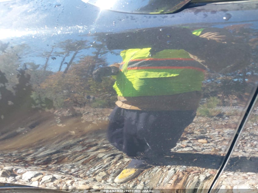 2009 Acura Rdx VIN: 5J8TB185X9A002263 Lot: 43682832