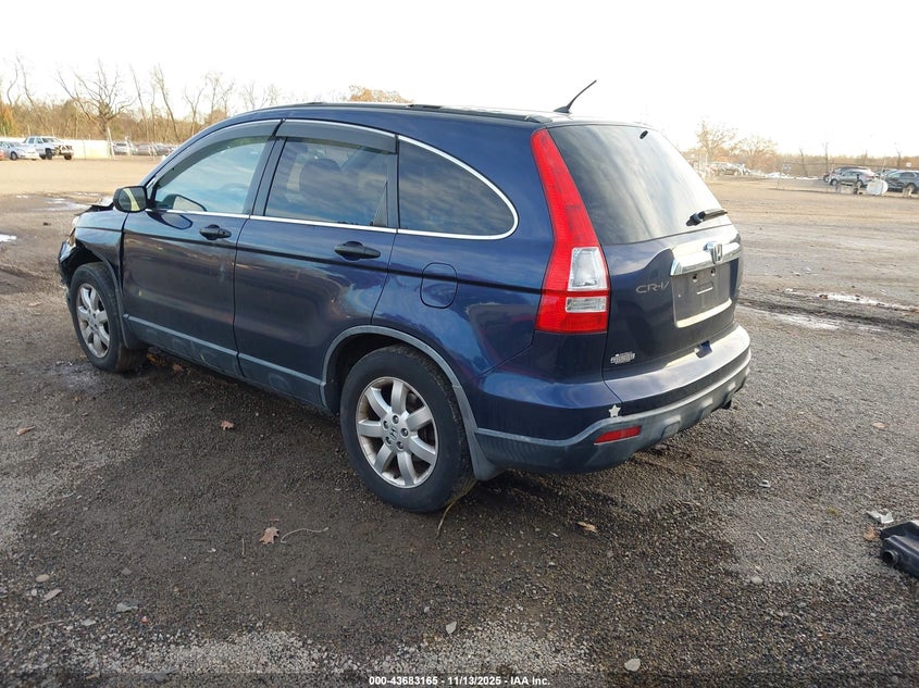 JHLRE48547C016553 2007 HONDA CR-V photo no. 3