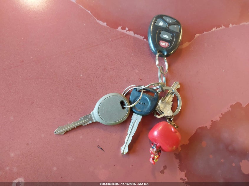 2009 Chrysler Sebring Touring VIN: 1C3LC56B69N566968 Lot: 43683385