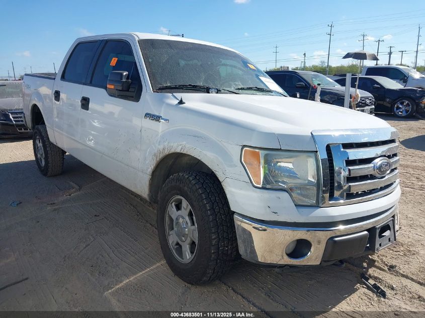 FORD F-150 XLT