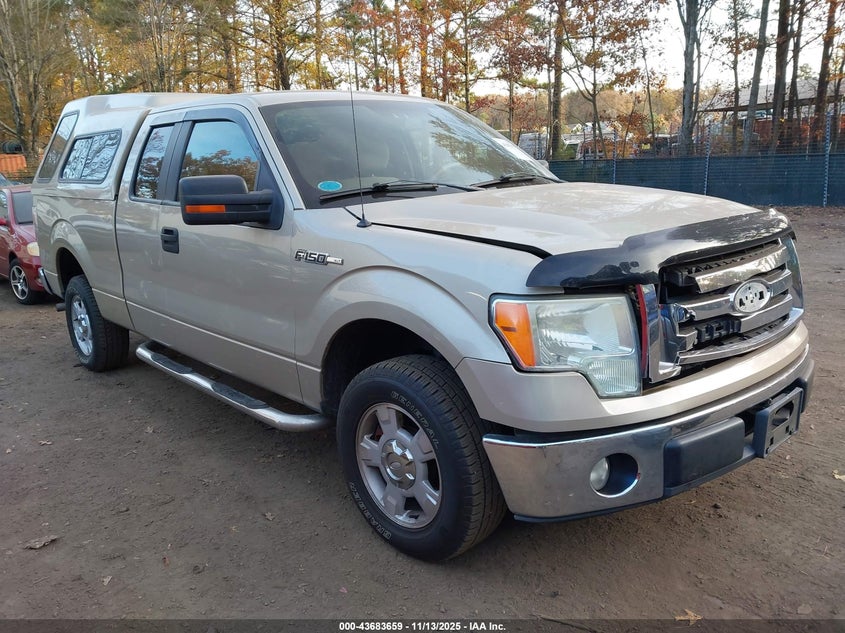 FORD F-150 FX2 SPORT/STX/XL/XLT