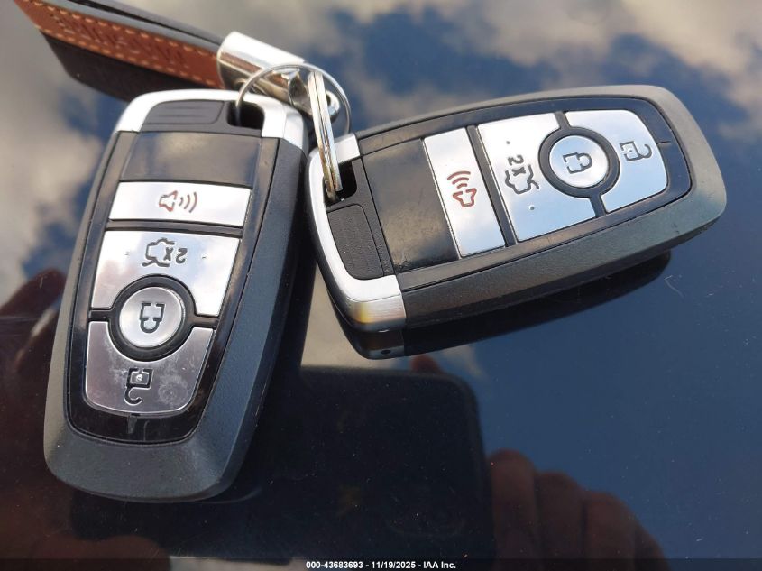 2020 Ford Mustang Ecoboost Fastback VIN: 1FA6P8TH3L5183235 Lot: 43683693