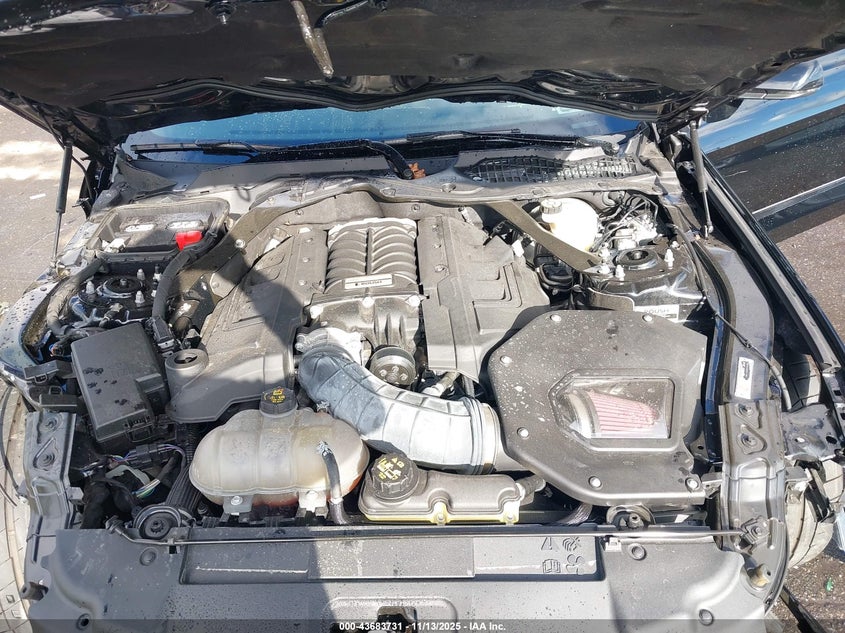 2019 Ford Mustang Gt Premium VIN: 1FATP8FF6K5151987 Lot: 43683731