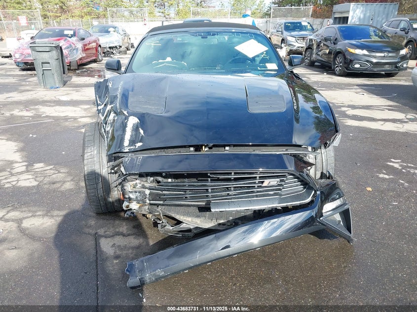 2019 Ford Mustang Gt Premium VIN: 1FATP8FF6K5151987 Lot: 43683731