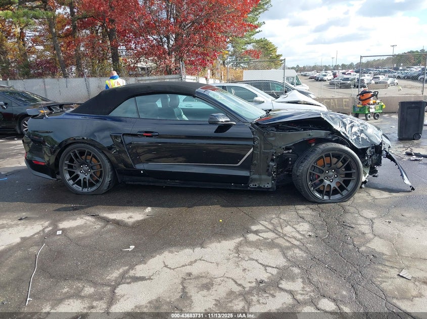 2019 Ford Mustang Gt Premium VIN: 1FATP8FF6K5151987 Lot: 43683731