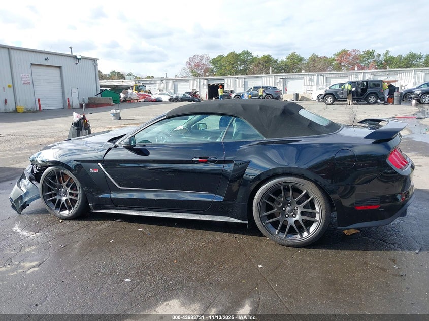 2019 Ford Mustang Gt Premium VIN: 1FATP8FF6K5151987 Lot: 43683731