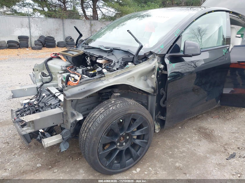 2020 Tesla Model Y Long Range Dual Motor All-Wheel Drive VIN: 5YJYGDEE5LF049453 Lot: 43683835