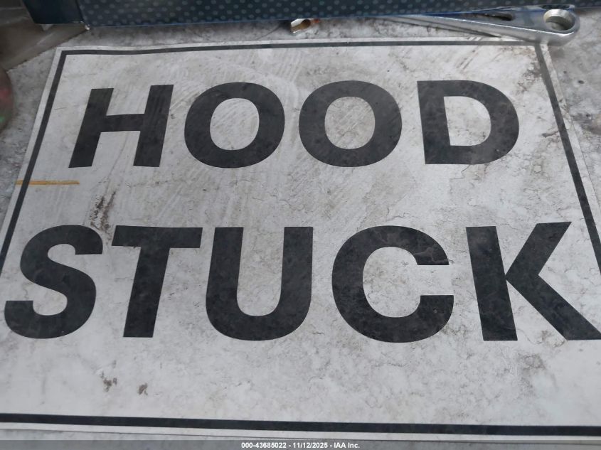 2003 Ford F-250 Lariat/Xl/Xlt VIN: 1FTNW21P53ED15900 Lot: 43685022