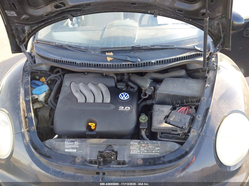 2002 Volkswagen New Beetle Gl VIN: 3VWBB21C62M407731 Lot: 43685069