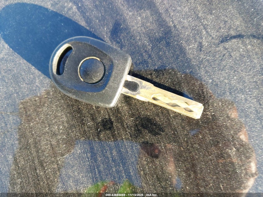 2002 Volkswagen New Beetle Gl VIN: 3VWBB21C62M407731 Lot: 43685069