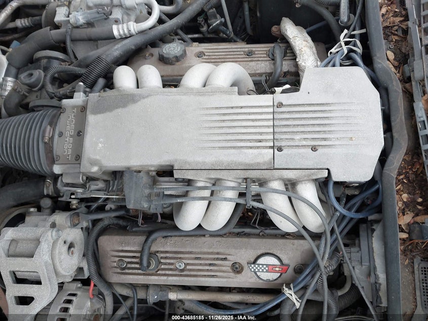 1989 Chevrolet Corvette VIN: 1G1YY2186K5112957 Lot: 43685185