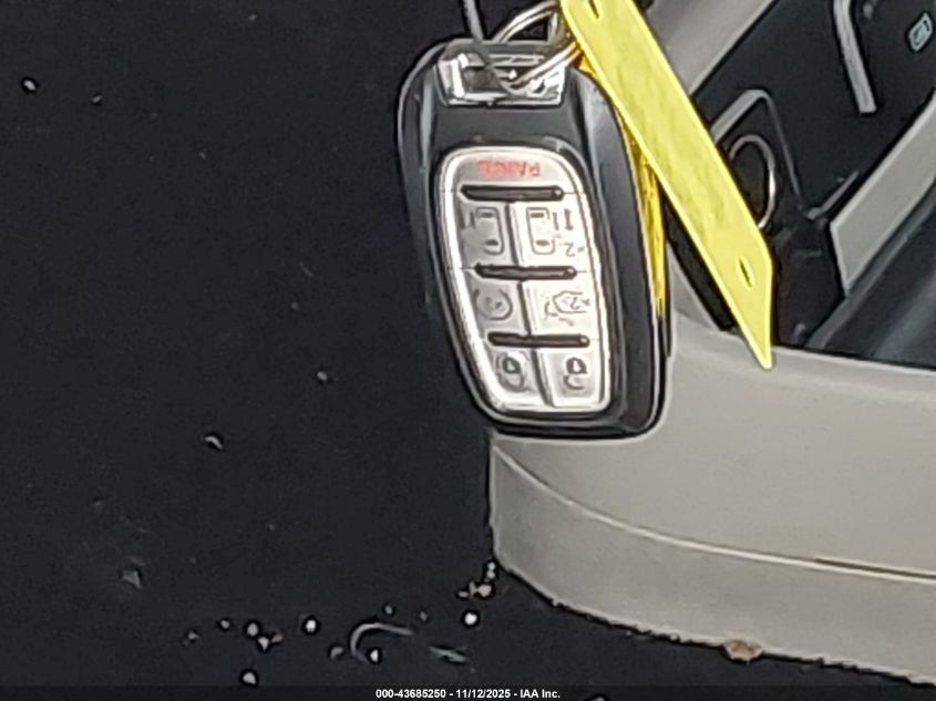 2017 Chrysler Pacifica Touring-L Plus VIN: 2C4RC1EG2HR541885 Lot: 43685250