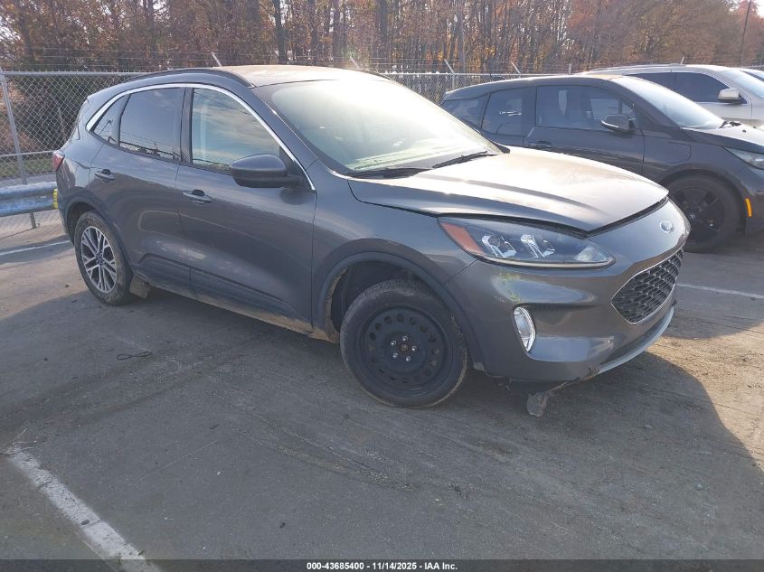 FORD ESCAPE SEL