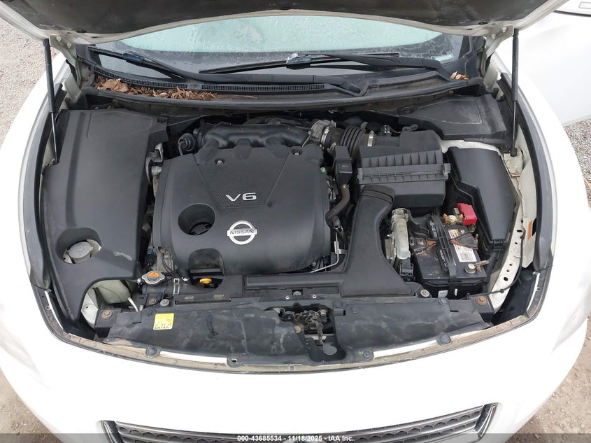 2009 Nissan Maxima 3.5 Sv VIN: 1N4AA51E69C818181 Lot: 43685534