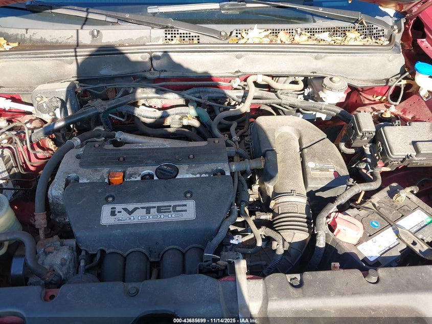 2005 Honda Cr-V Ex VIN: SHSRD78855U320236 Lot: 43685699