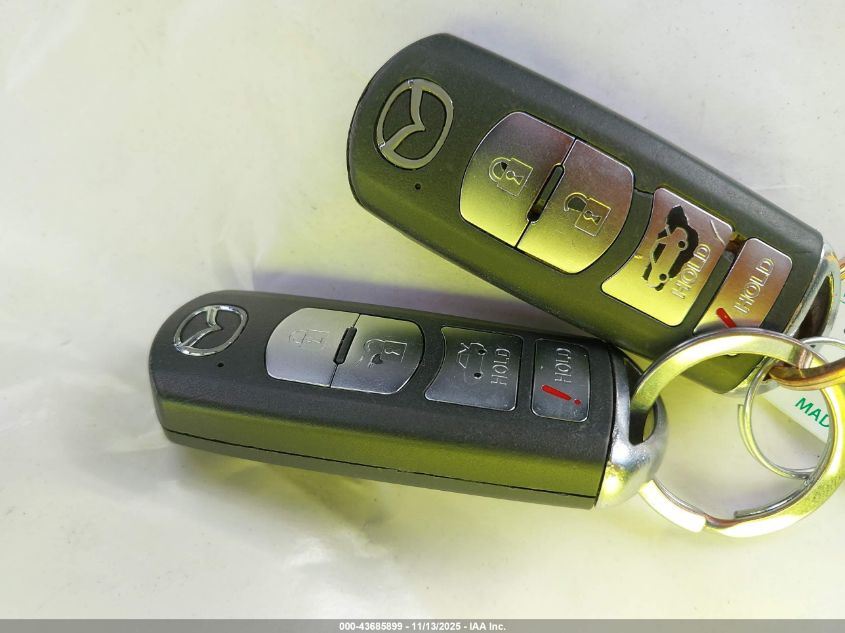 2013 Mazda Mazda3 I Touring VIN: JM1BL1VP0D1783123 Lot: 43685899