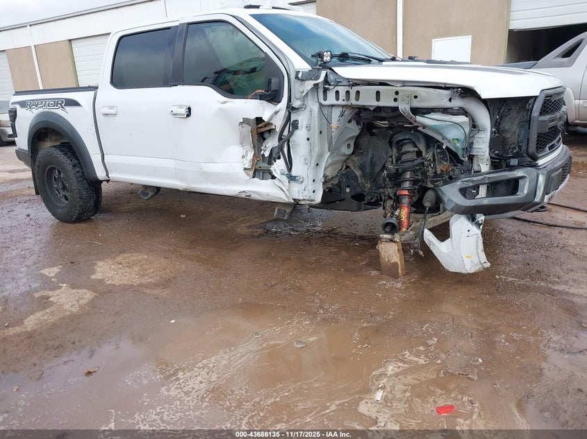 2019 Ford F-150 Raptor VIN: 1FTFW1RG6KFB16463 Lot: 43686135