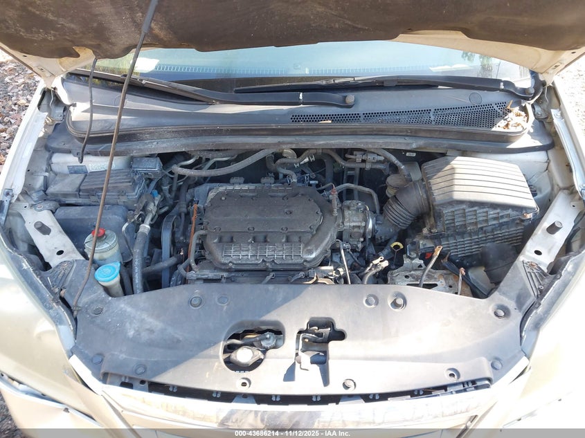 2006 Honda Odyssey Ex VIN: 5FNRL38416B439452 Lot: 43686214