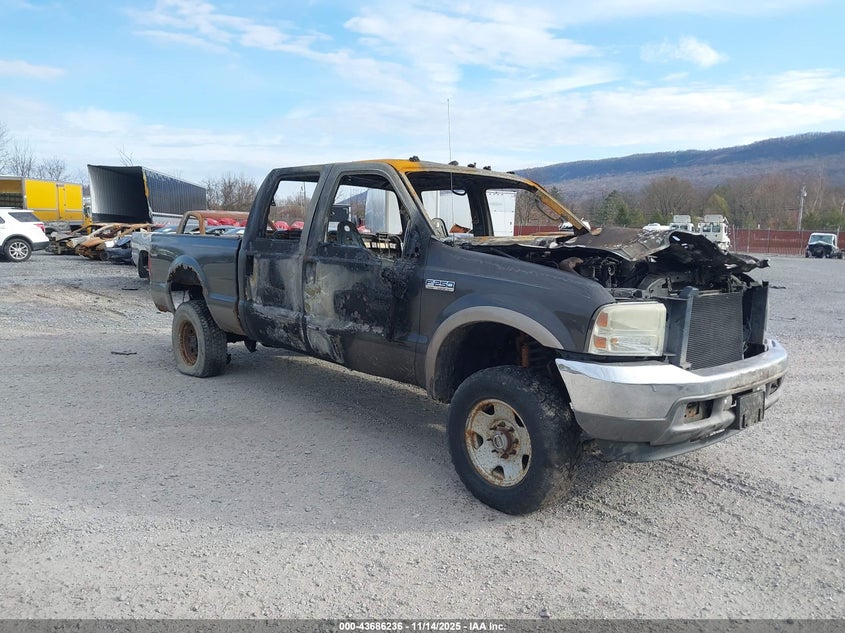 2005 Ford F-250 Lariat/Xl/Xlt VIN: 1FTSW21P75EC30191 Lot: 43686236