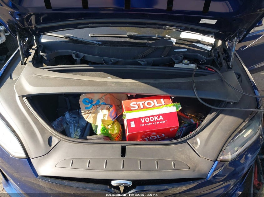 2023 Tesla Model X Dual Motor All-Wheel Drive/Standard Range VIN: 7SAXCAE5XPF380978 Lot: 43686258