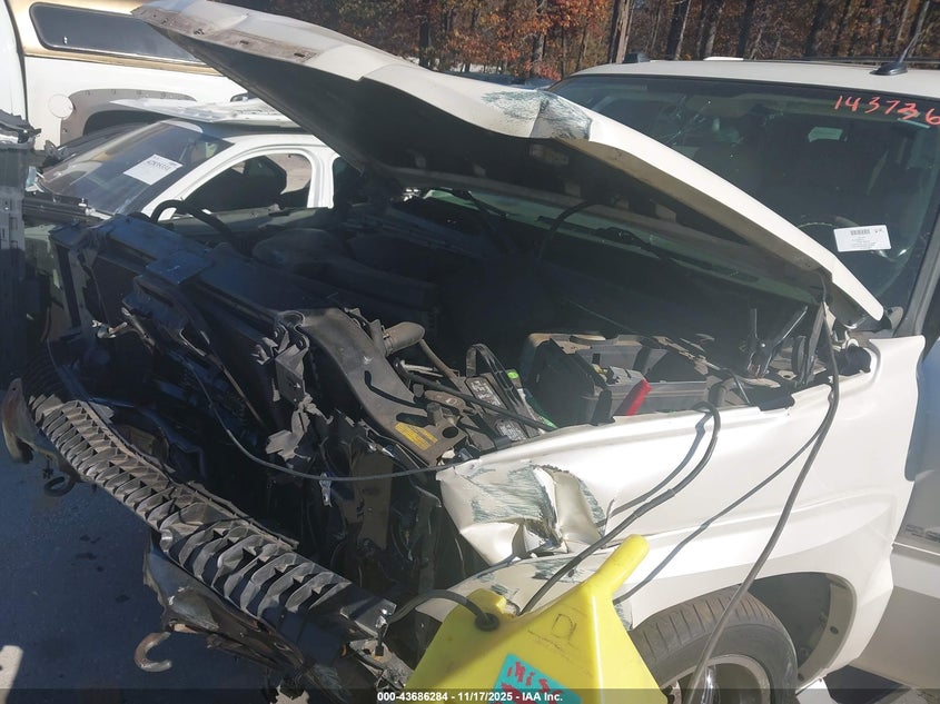 2005 Cadillac Escalade Standard VIN: 1GYEK63N65R143736 Lot: 43686284