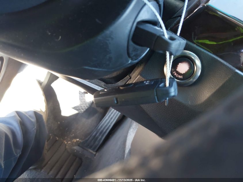 2007 BMW 525Xi VIN: WBANF33567CS40785 Lot: 43686481