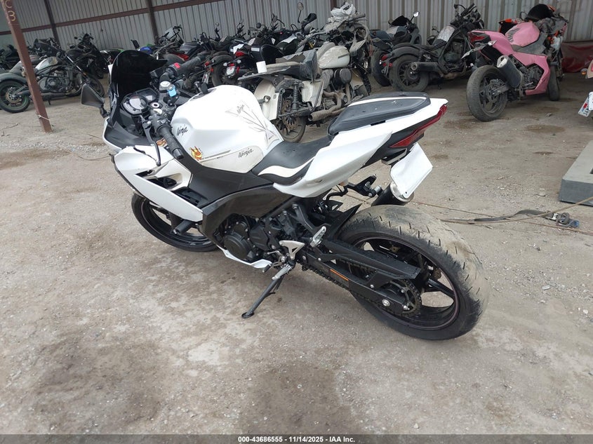 2023 KAWASAKI EX400(VIN: JKAEXKH10PDAR7064