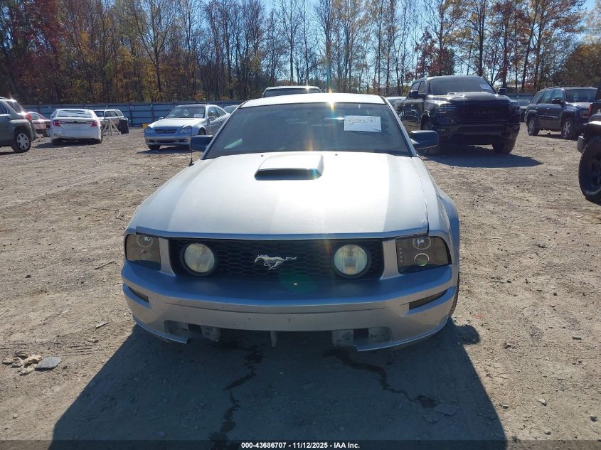 2009 Ford Mustang Gt Premium VIN: 1ZVHT82H995119111 Lot: 43686707