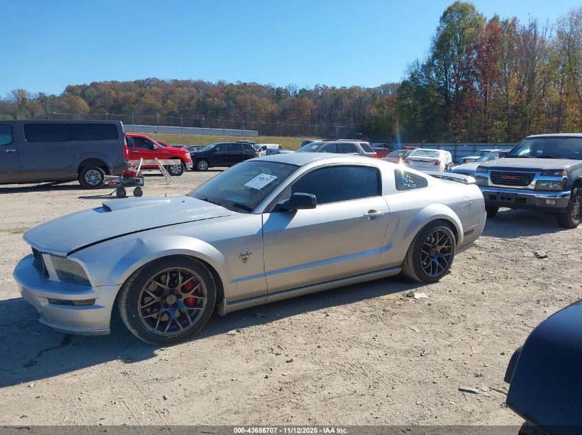 2009 Ford Mustang Gt Premium VIN: 1ZVHT82H995119111 Lot: 43686707