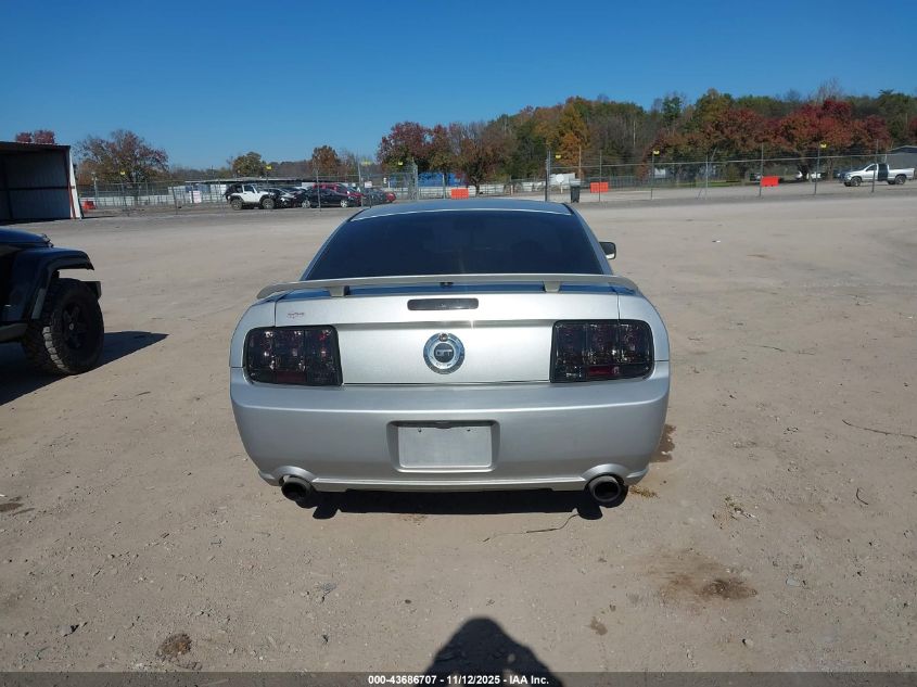 2009 Ford Mustang Gt Premium VIN: 1ZVHT82H995119111 Lot: 43686707