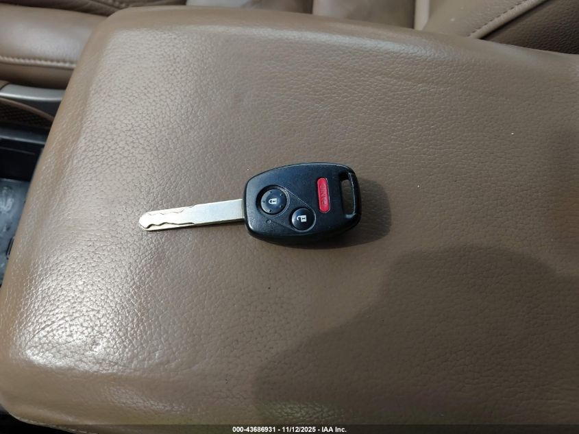 2006 Honda Pilot Ex-L VIN: 5FNYF286X6B033863 Lot: 43686931